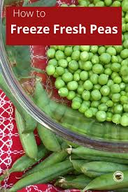 How to freeze peas to capture their sweet flavor. Blanch And Freeze Garden Vegetables Peas Carrots Beans In 2020 Frozen Fresh Fresh Pea Recipes Freezing Vegetables