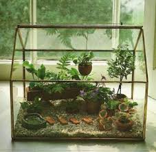 Tiny Terrariums Mini Gardens And Victorian Wardian Cases Mini Garden Plants Succulent Terrarium