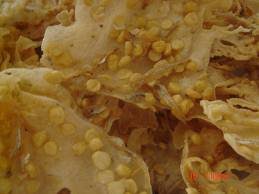 Rempeyek kacang dal super renyah_hai bunda. Tempeyek Mariam Ampang Ampang 2021