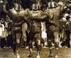 A J Duhe Miami Dolphins 8x10 Sports Photo H Miami Dolphins Football Miami Dolphins Miami Dolphins Funny