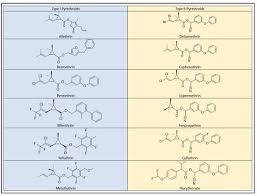 Image result for Pyrethroid
