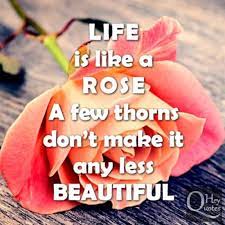 Pin On Life Quotes