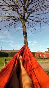 Is there anything more relaxing than a hammock? Hammock Test At Decathlon The Vegan Travelers