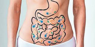 Stomach cancer arises in the lining of the stomach. Don T Ignore Those Stomach Woes The New Indian Express