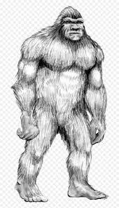 Set up a table outside and keep kids of all ages occupied with these spring pictures to color. Handdrawn Bigfoot Sasquatch Humananimalhybrid Hybrid Bigfoot Coloring Pages Emoji Bigfoot Emoji Free Transparent Emoji Emojipng Com
