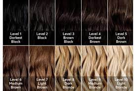 Of inspired by nature hair color with 3 oz. Chart Shades Of Brunette Hair Novocom Top