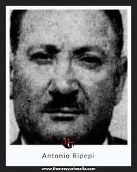 Tony Ripepi's Instagram, Twitter & Facebook