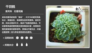 出境 二月红洋洋 后雨山妆造 当归阁摄影 后期 想变成喵的君辞 原po 协力 黑化的d叔 流氓粽子 抄送狮虎 知竹zz penny 欧 巴抄送主页菌 破产汉服摄影