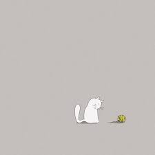 Cartoon Cat Wallpapers Top Free Cartoon Cat Backgrounds Wallpaperaccess Ipad Mini Wallpaper Ipad Wallpaper Cat Wallpaper