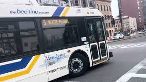 Image result for White 2009 Fleet