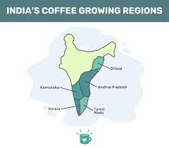 Coffee world is a thai restaurant company with hundreds of outlets scattered across india, bangladesh, thailand, indonesia, china, and sudan. Coffee From India Best Beans And Buying Guide