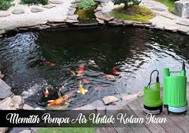 Maaf mau tnya.sy berencana membuat kolam ikan hias uk 2m_1,5m.dlm nya 1m.kl. Memilih Pompa Air Untuk Kolam Ikan Distributor Pompa Wasser Tangerang