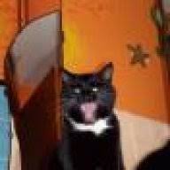Seit 3 Tagen Kein Stuhlgang Katzen Forum Das Grosse Katzenforum