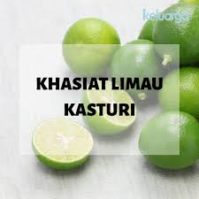 Limau kasturi natural beauty drink merupakan minuman kesehatan berbentuk serbuk yang bagus untuk menjaga kesehatan khususnya saluran pencernaan. Zxpvgwti0htcvm