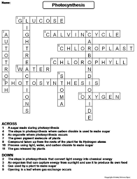 Learn vocabulary, terms, and more with flashcards, games, and other study tools. Photosynthesis Crossword Puzzle Teaching Resources