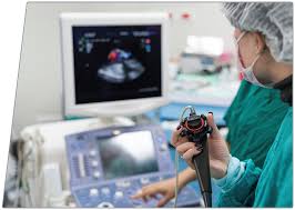We did not find results for: Gastroenterologie Max Medica