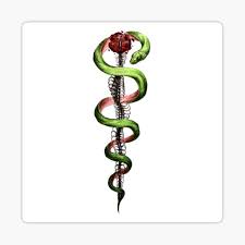 In actuality, asclepius was cut open from the womb of his mother (while she was burning on a. Asclepius Stickers Redbubble