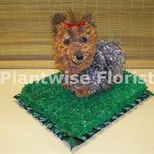 Up to 35% off at northwest vision development center. Yorkie Dog Made In Flowers For Funeral Funeral Flowers Canvey