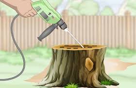 These stump grinder machines have a rotating cutting disc that chips away the wood. How To Burn Out A Tree Stump With Pictures