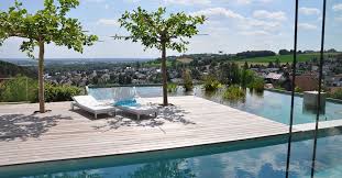 Naturpool Aufbau Kosten Pflege Vorteile Auf Einen Blick In 2020 Natur Pool Naturschwimmbecken Gartenpools