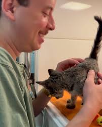 The evolution of Dennis Denver Rogers Hill 💫, Almost 6 months with this  little agent of chaos!!!