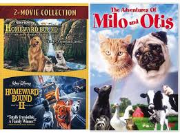 I left a message filled with many emotional pauses caused by. Amazon Com A Curious Kitten And Puppy Dog Milo Otis Homeward Bound Disney Incredible Journey Lost In San Francisco Triple Feature Dvd Bundle Movies Tv
