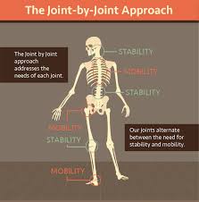 flexibility mobility and stability fix com