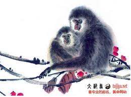 Image result for 猴年2016