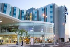 Las más ricas e innovadoras pizzas de tacna. Hotel Diamante Spinetta Marengo Alessandria Book Now