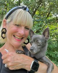 Good evening my dear Blue People 💙 … the bench… 📷 Niphisi