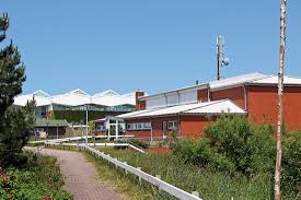 Unser gepflegtes haus liegt ganz im westen der insel. Die Insel Baltrum Haus Des Gastes