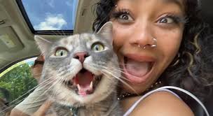 Rehoming a friendly and affectionate cat, Moonie