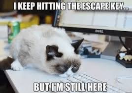 If there is no music. Every Office Manager Meme You Ever Wanted Snacknation