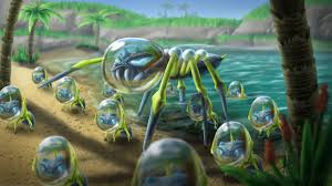 Image result for totem araquanid