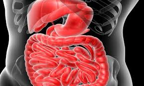 How much does a colonoscopy cost with insurance. Colonoscopy Statewide Cost In Texas 2021
