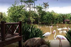 Check spelling or type a new query. Putrajaya Wetlands Park Islamic Tourism Centre Of Malaysia Itc
