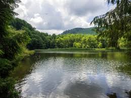 Kleiner See Im Bukk Gebirge In 2020 Balaton Hund Unterwegs Ausflug