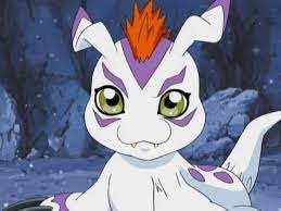 Joe sits up, understanding, and thanks him, calling him pukamon a second before realizing that the digimon is different now. Gomamon Adventure Japanese Anime Wiki Fandom