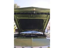 Image result for Doeskin (Medium Tan) 1972 Monaco