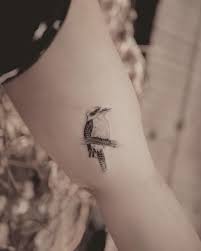 Maxe Brother Kookaburra Tattoo Single Needle Oz Tattoo Tattoos Aquarius Tattoo