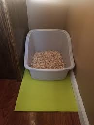 You can also nest your cat's litter box inside of another litter box to prevent litter from getting out of your cat's box. Pin On Kittens