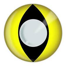 Cateye has a full range of battery or rechargeable headlights, safety lights, and computers. Cat Eye Contacts Color Vision Yellow Cat Eye Contacts