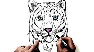 But a new film reveals the untold story of 'the bonkbuster. How To Draw A Snow Leopard Step By Step Youtube