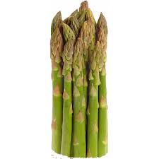 Image result for Asparagus longicladus