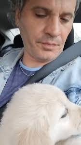 El Rey 👑 (Biko) ❤️🍼❤️🍼❤️🍼❤️#goldenretriever