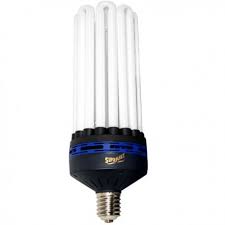 Wholesale 200w cfl lamp ☆ find 7 200w cfl lamp products from 2 manufacturers & suppliers at ec21. Superplant Bulb Cfl 200w Growth 6400k Lamp Economic Growth E40 Superplant 39 90 Culture Indoor