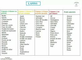 French Vegetable List For Rabbits Liste De Fruits Lapin Choux De Bruxelles