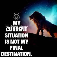 100 Best Cool Whatsapp Status Awesome Cool Quotes In English We provide unique best whatsapp status collection to express your feelings and thoughts in an unique way.