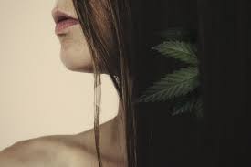 Cannabis Et Sante Capillaire L Herbe Favorise Des Cheveux Forts Rqs Blog