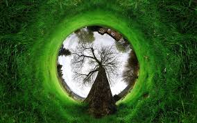 360 Degree Reverse Panorama Photo Nature Photography Cool Photo Effects Photography Inspiration Nature